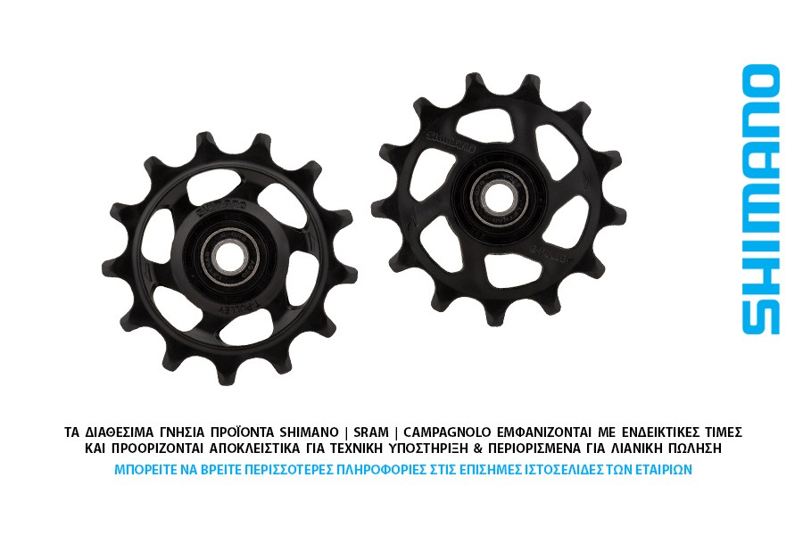 ΣΑΣΜΑΝ - ΠΙΣΩ ΝΤΕΡΑΓΙΕ ΡΟΔΑΚΙΑ 12s SHIMANO RD-M9100 Xtr